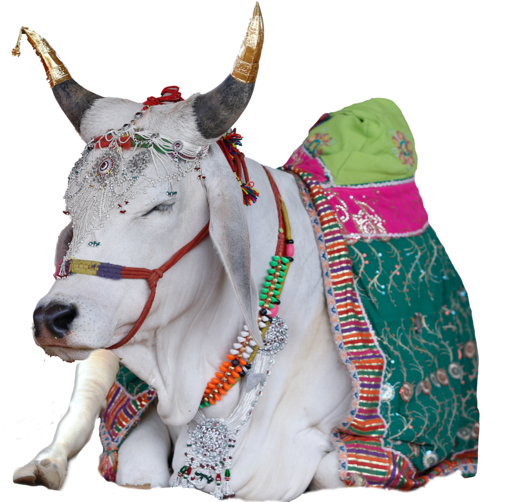 Samridhi
